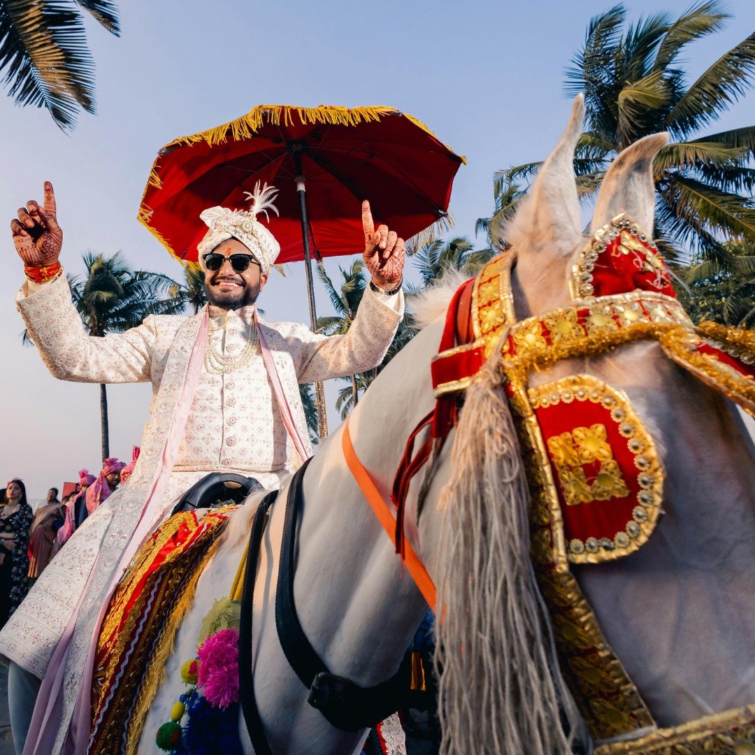 Royal Ghodi for Wedding